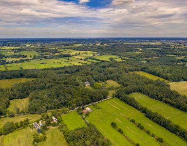 Provincie Gelderland trekt de broekriem aan: wat zijn de gevolgen voor haar subsidiegelden?